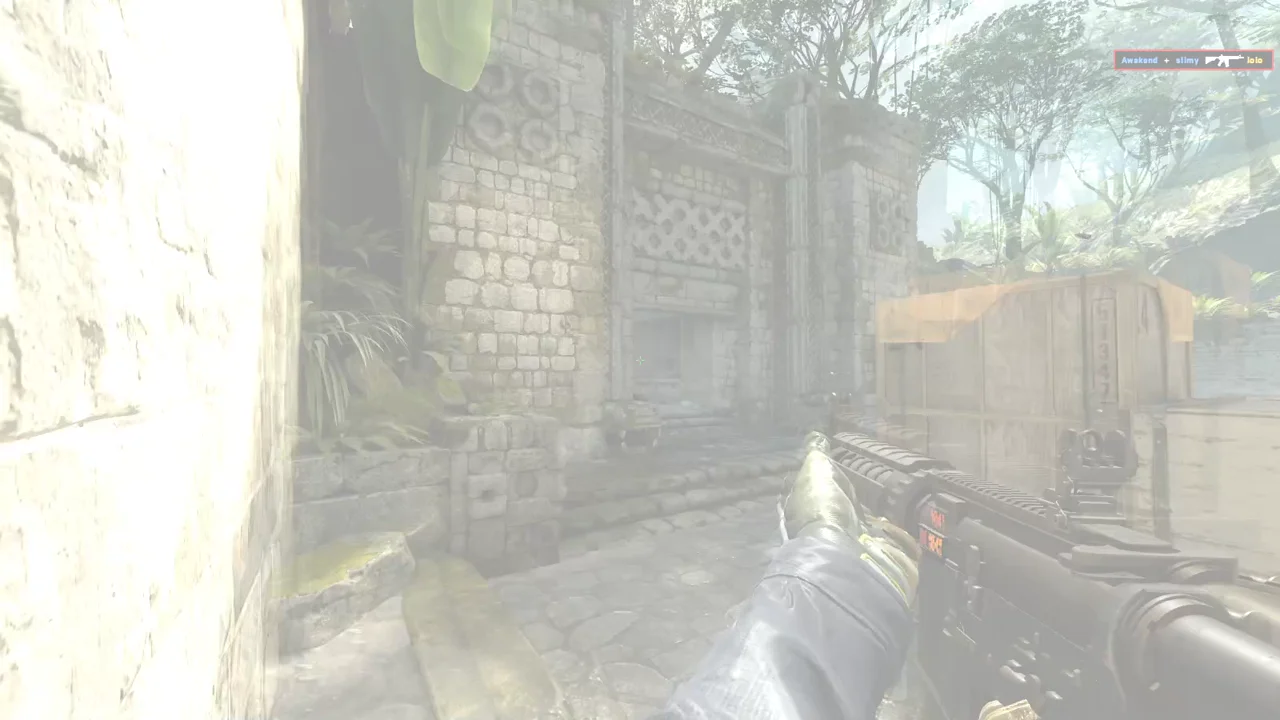 highlight